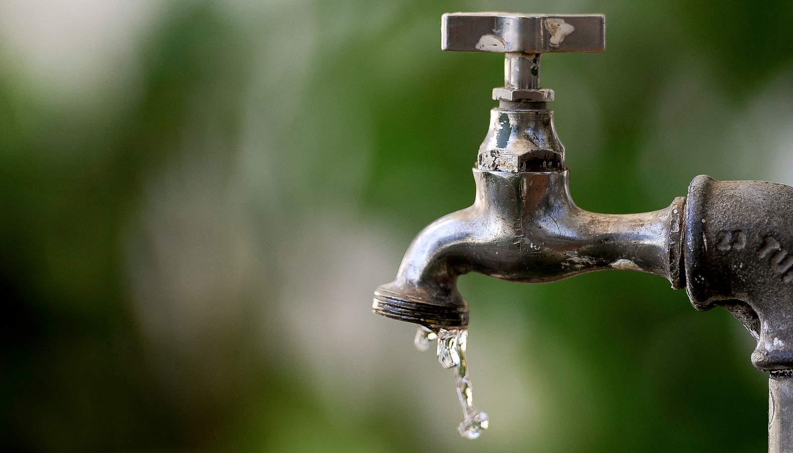 Práticas sustentáveis para o seu dia a dia