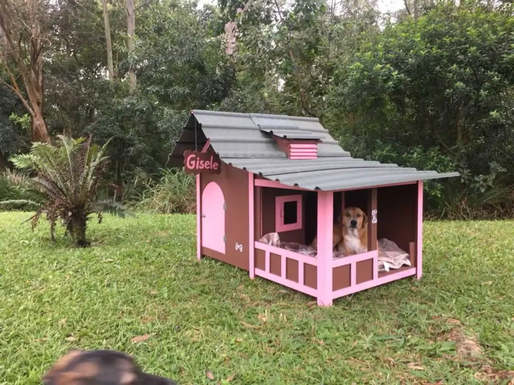 casinha cachorro revestimento tapume ecológico